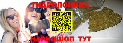 spice Донской