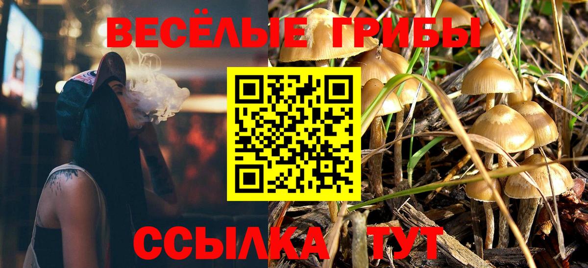 Галлюциногенные грибы MAGIC MUSHROOMS Ногинск